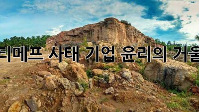 티메프 사태: 기업 윤리의 거울