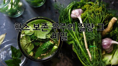 힉스 보존: 우주의 질량, 그 비밀